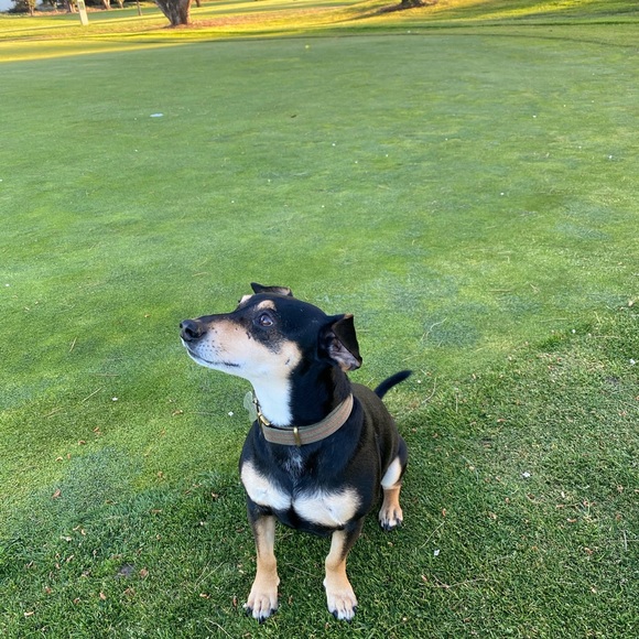 Meet your Posher, Gladys - Picture 3 of 4